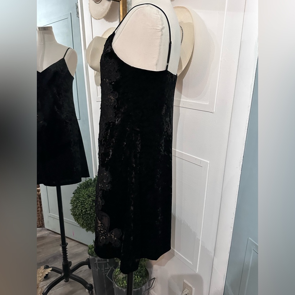 Bailey 44 Velvet Lace Dress - Picture 5 of 10